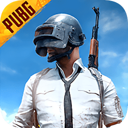 正版pubg国际服体验服手游