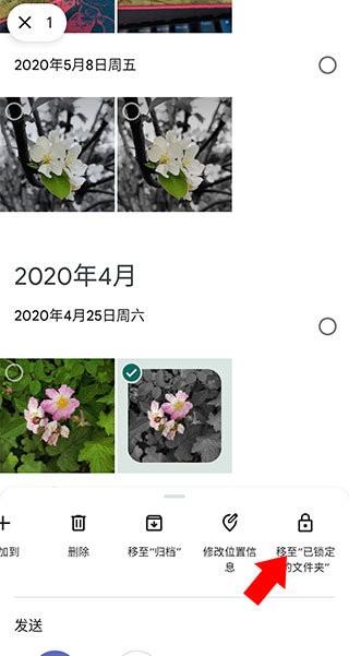 谷歌相册app最新版